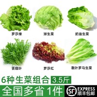 新鲜沙拉蔬菜组合6种3.5斤 生菜蔬菜西餐沙拉健身食材