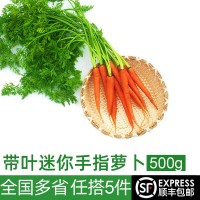 迷你手指胡萝卜500g 新鲜蔬菜带叶水果