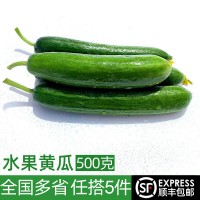 水果黄瓜500g 新鲜蔬菜沙拉食材现采现摘荷兰黄瓜短小黄瓜