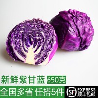 紫甘蓝650g 紫包菜球  西餐沙拉蔬菜生菜轻食健身食材