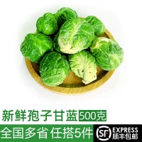 孢子甘蓝500g 新鲜迷你小包菜小卷心菜