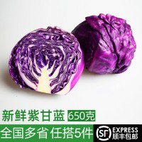 紫甘蓝650g  西餐沙拉蔬菜生菜轻食健身食材